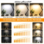 چراغ مطالعه مدل FLEXI-2