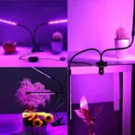 چراغ رشد گیاه 10 وات مدل Dual Head - Image 2